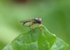 320621 – Photo : Anonyme – Mayotte